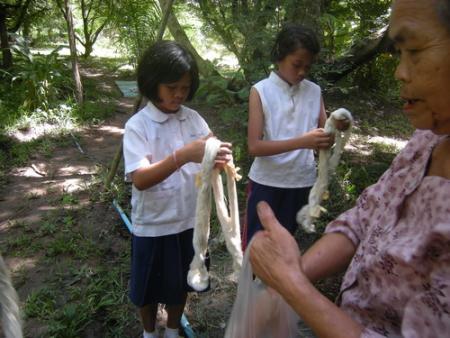 Photographs Selected for Press (Set of 31 Photographs)