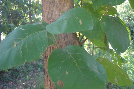 Womanifesto Residency Everyday Activities (Set of 115 Photographs)