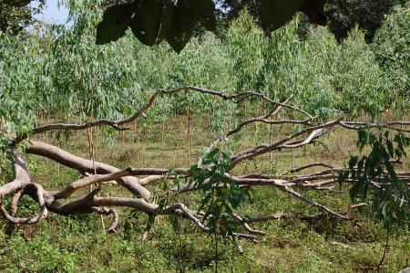 Womanifesto Residency Everyday Activities (Set of 115 Photographs)