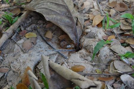 Womanifesto Residency Everyday Activities (Set of 115 Photographs)