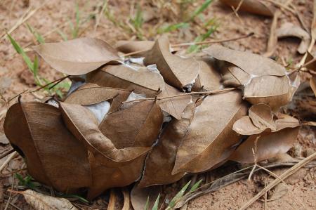 Womanifesto Residency Everyday Activities (Set of 115 Photographs)