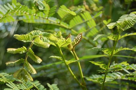 Womanifesto Residency Everyday Activities (Set of 115 Photographs)