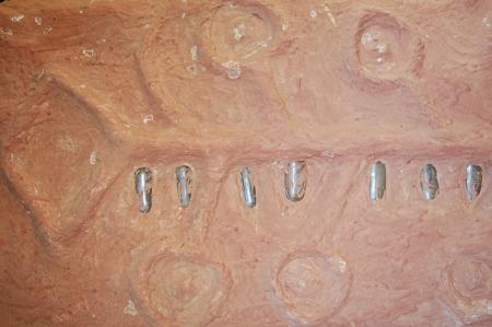 Womanifesto Residency Everyday Activities (Set of 115 Photographs)