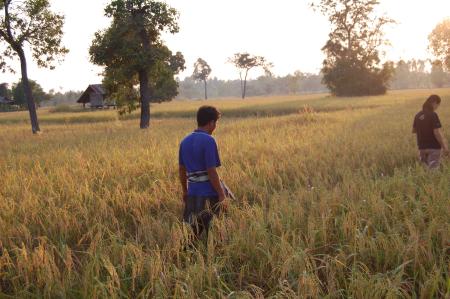 Kor Kwaay Dong Khao Na…Kor Khon Dong Khueng Khang—Preparation (Set of 9 Photographs)
