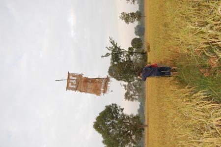 Naruemon Padsamran's Residency at Womanifesto (Set of 63 Photographs)