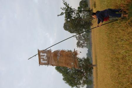 Naruemon Padsamran's Residency at Womanifesto (Set of 63 Photographs)