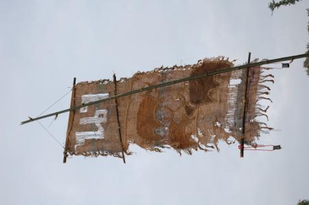 Naruemon Padsamran's Residency at Womanifesto (Set of 63 Photographs)