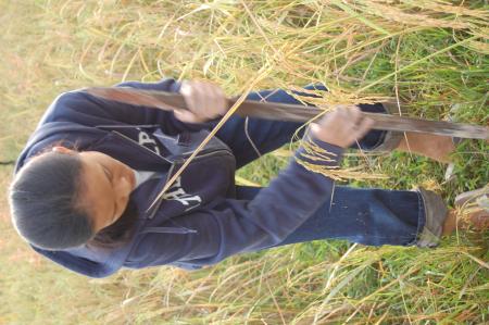 Naruemon Padsamran's Residency at Womanifesto (Set of 63 Photographs)