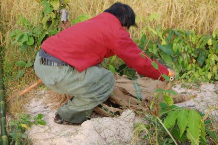 Naruemon Padsamran's Residency at Womanifesto (Set of 63 Photographs)