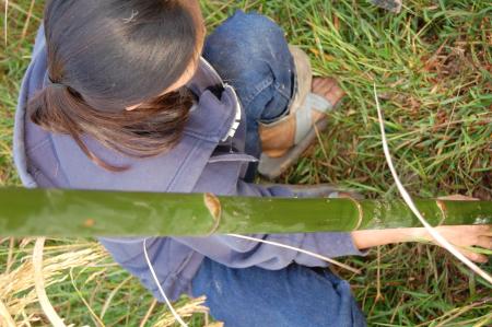 Naruemon Padsamran's Residency at Womanifesto (Set of 63 Photographs)