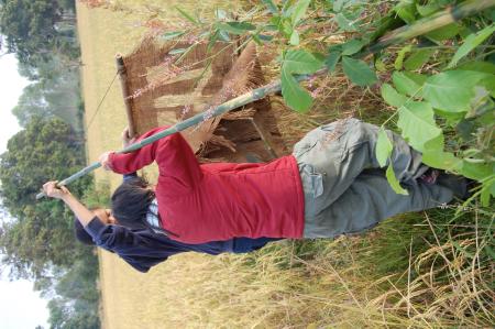 Naruemon Padsamran's Residency at Womanifesto (Set of 63 Photographs)