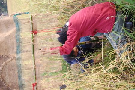 Naruemon Padsamran's Residency at Womanifesto (Set of 63 Photographs)