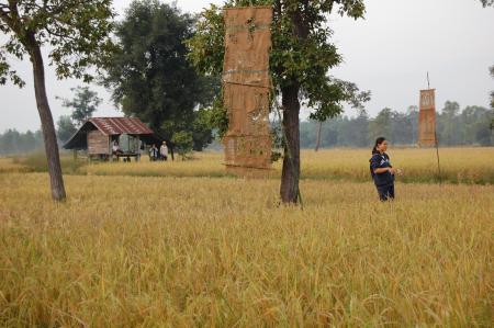 Naruemon Padsamran's Residency at Womanifesto (Set of 63 Photographs)