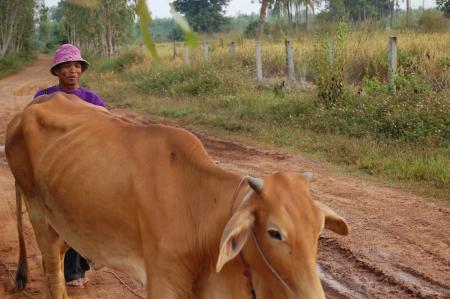 Naruemon Padsamran's Residency at Womanifesto (Set of 63 Photographs)