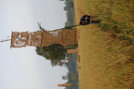 Naruemon Padsamran's Residency at Womanifesto (Set of 63 Photographs)