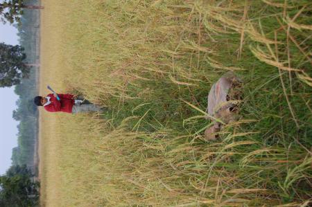 Naruemon Padsamran's Residency at Womanifesto (Set of 63 Photographs)