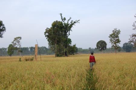 Naruemon Padsamran's Residency at Womanifesto (Set of 63 Photographs)