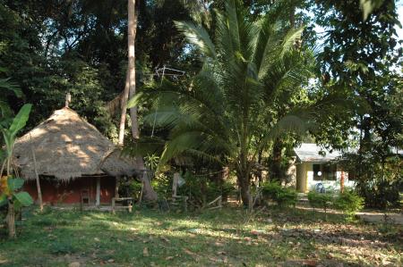 Pre-Residency Activities at Boon Bandarn Farm (28 Photographs)