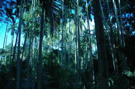 Pre-Residency Activities at Boon Bandarn Farm (28 Photographs)