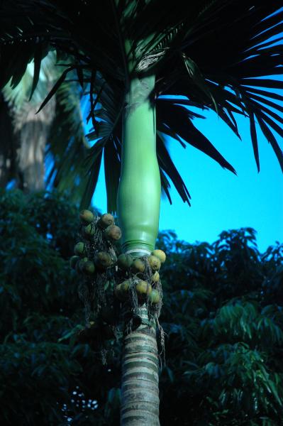 Pre-Residency Activities at Boon Bandarn Farm (28 Photographs)