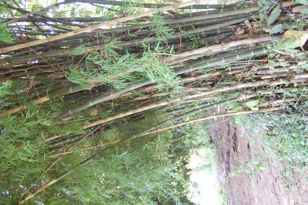 Womanifesto Residency Everyday Activities (Set of 115 Photographs)