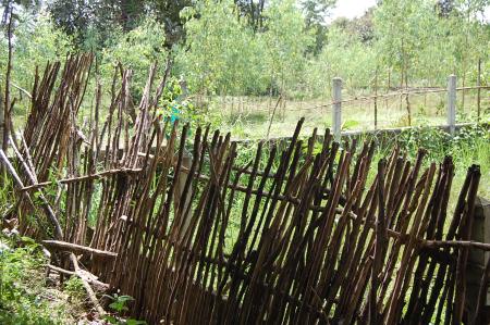 Womanifesto Residency Everyday Activities (Set of 115 Photographs)