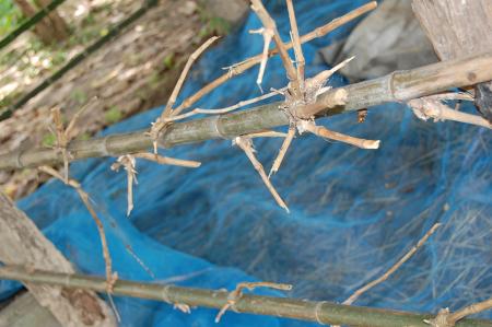 Womanifesto Residency Everyday Activities (Set of 115 Photographs)