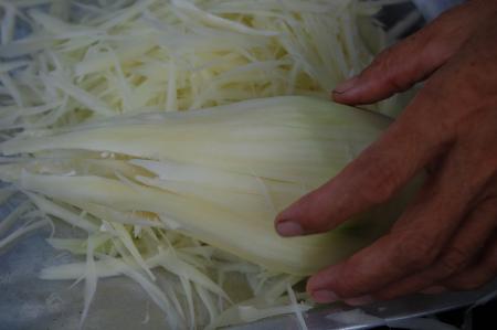 Womanifesto Residency Everyday Activities (Set of 115 Photographs)