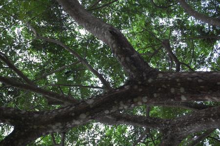 Womanifesto Residency Everyday Activities (Set of 115 Photographs)