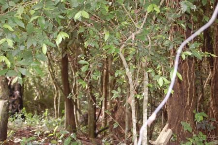 Womanifesto Residency Everyday Activities (Set of 115 Photographs)