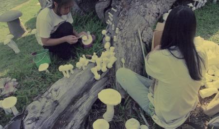 Parasites of Life — Preparation (Set of 5 Photographs)