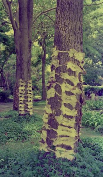 From Pest to Pets (Set of 2 Photographs)