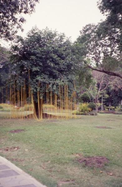 Sun, Strings and Me (Set of 2 Photographs)
