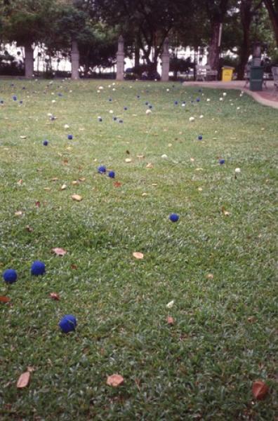 Swept Around in the Wind (Set of 8 Photographs)