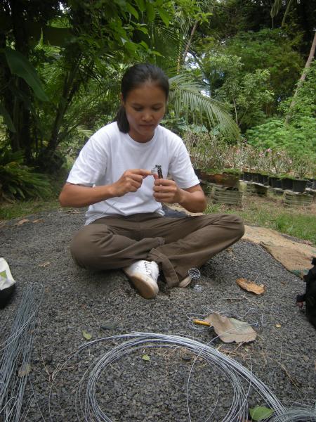Wire Sculpture Workshop (Set of 28 Photographs)