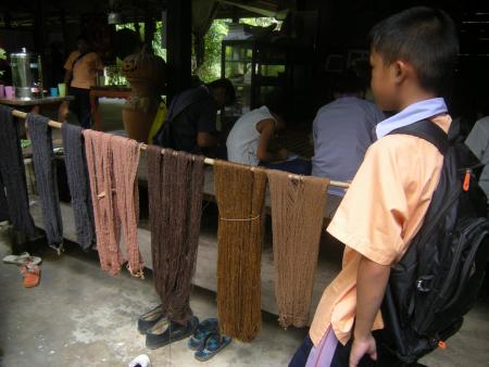 Natural Bark Dyeing Presentation (Set of 14 Photographs)