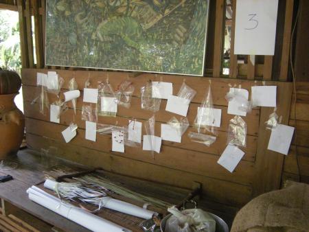 Sculpture Workshop (Set of 11 Photographs)