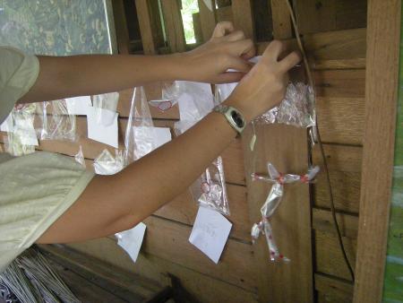 Sculpture Workshop (Set of 11 Photographs)