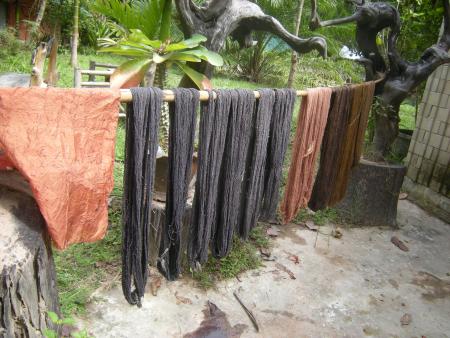 Natural Bark Dyeing Presentation (Set of 14 Photographs)