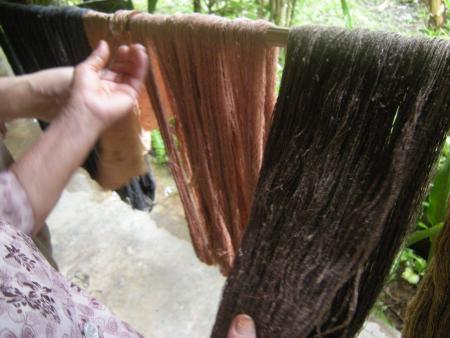 Natural Bark Dyeing Presentation (Set of 14 Photographs)