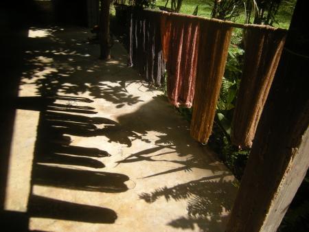 Natural Bark Dyeing Presentation (Set of 14 Photographs)