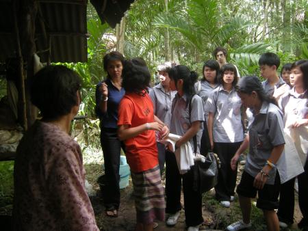 Tie Dye Workshop (Set of 94 Photographs)