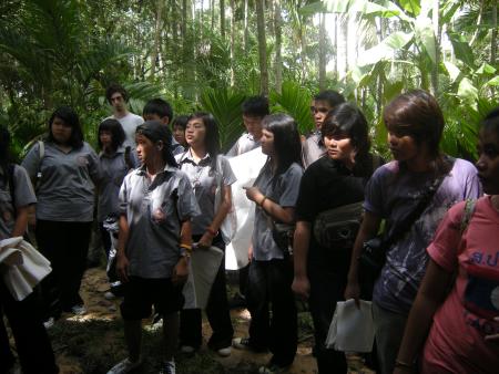 Tie Dye Workshop (Set of 94 Photographs)