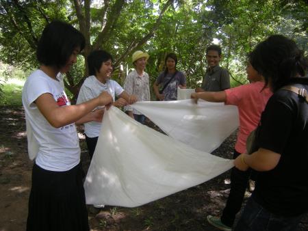 Tie Dye Workshop (Set of 94 Photographs)