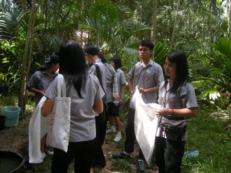 Tie Dye Workshop (Set of 94 Photographs)