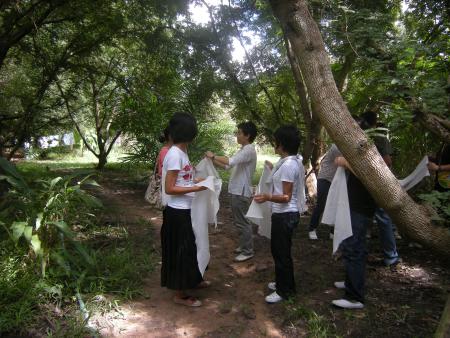 Tie Dye Workshop (Set of 94 Photographs)