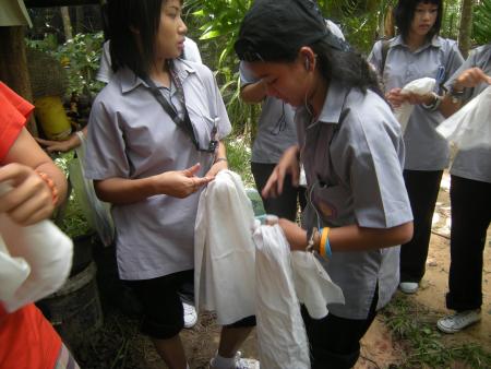 Tie Dye Workshop (Set of 94 Photographs)