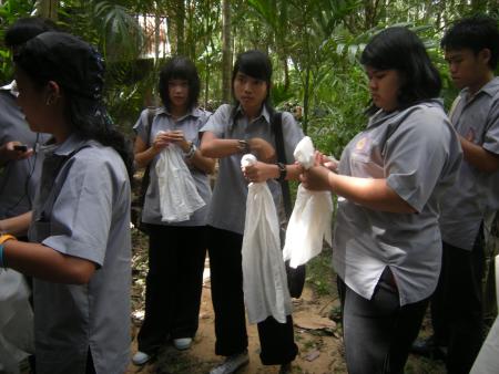 Tie Dye Workshop (Set of 94 Photographs)