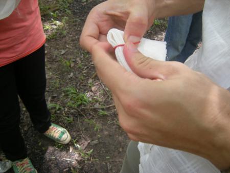 Tie Dye Workshop (Set of 94 Photographs)