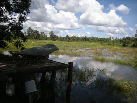 Human Sculpture Workshop (Set of 17 Photographs)